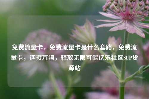 免费流量卡	，免费流量卡是什么套路，免费流量卡，连接万物	，释放无限可能亿乐社区SUP货源站  第1张